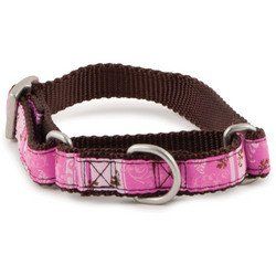 PetSafe Fido Finery Martingale Style Collar (1/2 Petite, Marvel) - FIN-PRC-P-1/2-M