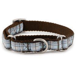 PetSafe Fido Finery Martingale Style Collar (3/4 Small, Summer Plaid) - FIN-PRC-S-3/4-SUP