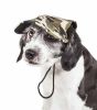 Pet Life 'Torrential Downfour' Camouflage Uv Protectant Adjustable Fashion Dog Hat Cap - Large