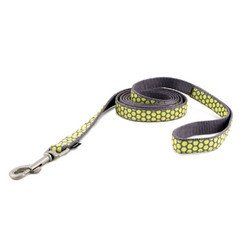 PetSafe Fido Finery Leash (Dotted Bliss, 6" x 1/2) - FIN-LSH-1/2-X-6-DOT
