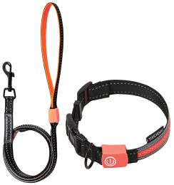 Touchdog 'Lumiglow' 2-in-1 USB Charging LED Lighting Water-Resistant Dog Leash and Collar - Black - Small