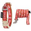 Touchdog 'Funny Bun' Tough Stitched Embroidered Collar and Leash - Red - Medium