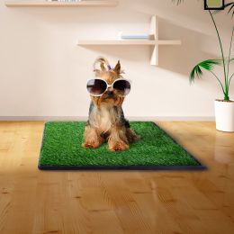 Artificial Dog Grass Mat, Indoor Potty Training, Pee Pad for Pet  XH - 20" X 25" (51X64CM)