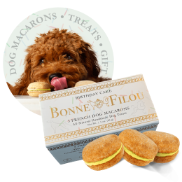 Dog Macarons - Count of 3 (Dog Treats | Dog Gifts) - Birthday Cake