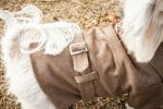 Galore Back-Buckled Fashion Wool Pet Coat - X-Small