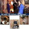 Portable Guard Net Stairs Doors Pets Dog Cat Baby Safety Gate Mesh Fence - Black - M