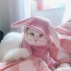 Cute Dog cat Glasses Pet Goggles Glasses Suitable For Puppy Cat Photo Props - white - Round