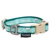 Touchdog 'Funny Bun' Tough Stitched Embroidered Collar and Leash - Green - Medium