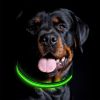 peach heart pet collar s - Green - S