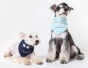 Touchdog 'Dizzy-Eyed Cyclops' Cotton Velcro Dog Bandana and Scarf - Blue - Small