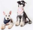 Touchdog 'Dizzy-Eyed Cyclops' Cotton Velcro Dog Bandana and Scarf - Blue - Small