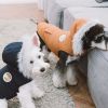 Touchdog 'Eskimo-Swag' Duck-Down Parka Dog Coat - Brown - Medium