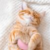 Home Pet Smart Cat Toys Interactive Ball - pink - Pets