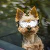 Dog Goggles Small Dog Sunglasses UV Protection Big Cat Glasses Fog/Windproof Outdoor Doggy Eyewear with Adjustable Band for Small Dogs - Silver