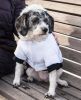 Aspen Winter-White Fashion Pet Parka Coat - X-Small