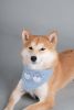 Touchdog 'Dizzy-Eyed Cyclops' Cotton Velcro Dog Bandana and Scarf - Navy - Medium