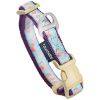 Touchdog 'Avery Patterned' Tough Stitched Embroidered Collar and Leash - Light Blue - Medium