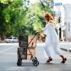 Double Pet Stroller 4-in-1 With Detachable Carrier And Travel Carriage - beige - Pets