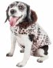 Pet Life Luxe 'Furracious' Cheetah Patterned Mink Dog Coat Jacket - Small