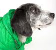 Lightweight Adjustable 'Sporty Avalanche' Pet Coat - X-Small