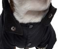 Touchdog Mount Pinnacle Pet Ski Jacket - Small - (JKTD10BKSM)