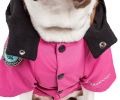 Touchdog Mount Pinnacle Pet Ski Jacket - Large - (JKTD10PKLG)