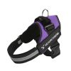 No Pull Pet Harness For Dog & Cat; Adjustable Soft Padded Large Dog Harness With Easy Control Handle - Purple - S