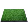 Artificial Dog Grass Mat, Indoor Potty Training, Pee Pad for Pet - green