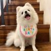 New Happy Birthday Embroidery Dog bib Pet Cat Dog bib Mouth towel - red - S
