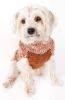 Royal Bark Heavy Cable Knitted Designer Fashion Dog Sweater - Small