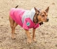 Touchdog Mount Pinnacle Pet Ski Jacket - X-Small - (JKTD10PKXS)