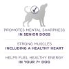 High Protein Dry Senior Dog Food Plus Vibrant Maturity Adult 7 Plus Formula - 31.1 lbs