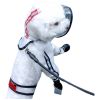 Pet Transparent Four-Foot Waterproof All-Pack Raincoat - TransparentM