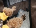 Portable Pet Soft Playpen;  Pop up Tent Indoor & Outdoor Use Durable Paw Kennel Cage;  Waterproof Bottom Removable Top Puppy Pen - brown