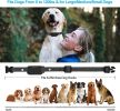 Dog Training Shock Collar w/Remote 1000ft Range for Small Medium  or Large Dogs - Adjustable