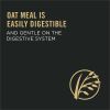 Sensitive Skin and Sensitive Stomach Dog Food Salmon and Rice Formula - 30 lbs