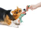 Dog Rope Toy - Default