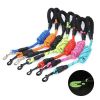 Strong Dog Leash with Zipper Pouch;  Comfortable Padded Handle and Highly Reflective Threads Dog Leashes for Small Medium and Large Dogs - Green