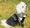 Touchdog Mount Pinnacle Pet Ski Jacket - Medium - (JKTD10BKMD)