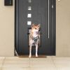 Replacement Dog Door Flap - LA01