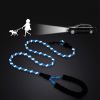 150cm Strong Dog Leash Pet Leashes Reflective Leash For Small Medium Large Dog Leash Drag Pull Tow Golden Retriever - Red - 1.0cm 150cm