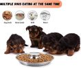 Stainless Steel Non-Slip Rubber Bottom Puppy Dog Bowl Easy to Clean Multi-Dog Feeding Bowl (3.6-4.7 Cup) - 2 Pack Medium (3.6 Cup)