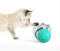 Portable Pet Chew Toy Tumbler, Puzzle Slow Food Leakage Ball, Cat Dog Food Dispenser Slow Feeder, Pet Food Snack Leakage Toy - Blue