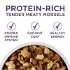 High Protein Dry Senior Dog Food Plus Vibrant Maturity Adult 7 Plus Formula - 31.1 lbs