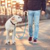 5FT Dog Leash Dog Training Walking Lead w/ Foam Handle Highly Reflective Treads  - Blue